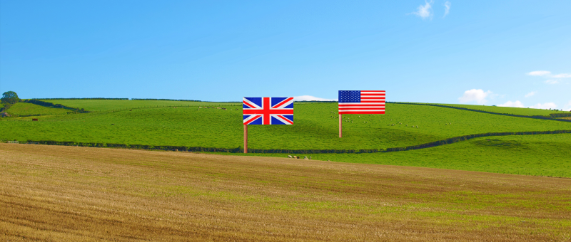 Environmental, Social, and Governance (ESG) Reporting in the US and UK: Evolving from Obligation to Opportunity